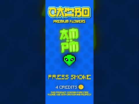 youtube - [Video]
